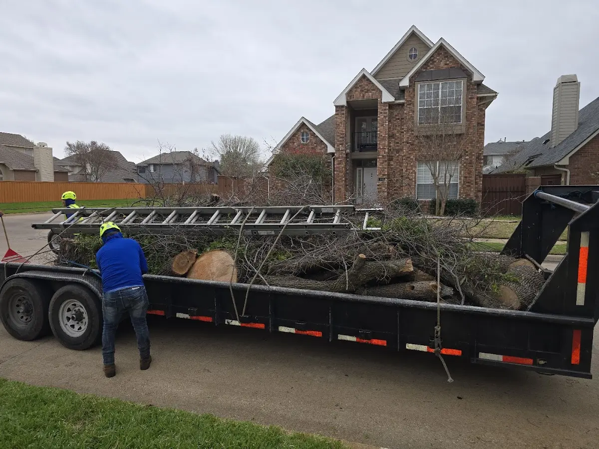 Expert Crown Reduction with proper safety equipment in Owatonna